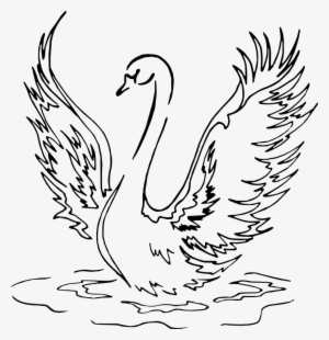Swan Landing Line Drawing Vector Clipart Image - Swan Drawing #1440366