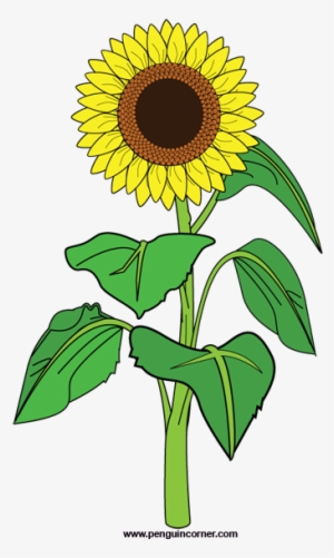 Sunflower Clipart Png - Clip Art Sunflower Plant #1440472