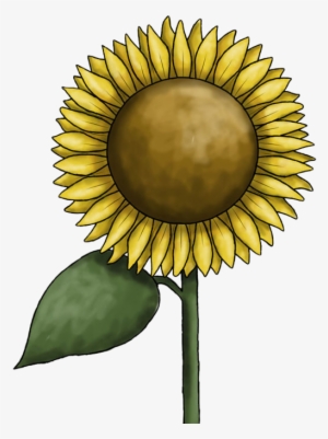 Sunflower Clipart Hd PNG, Sunflower, Sunflower Clipart, Plants Zombies PNG  Image For Free Download