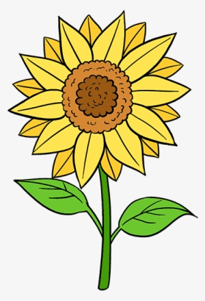 Clip Transparent Stock How To Draw A Sunflower Easy - Sunflower Easy Flower Drawing #1440852