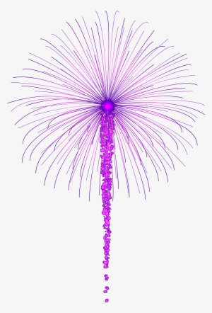 Fireworks Transparent Png Purple #1442541