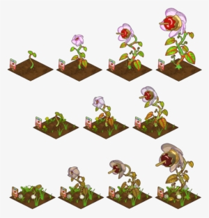 Gardening Webkinz Insider Wiki Imagecaramel Growing - Growing Pumpkins #1443128