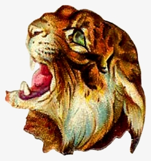 Tiger Digital Clip Art - Tiger Vintage Illustration #1443521