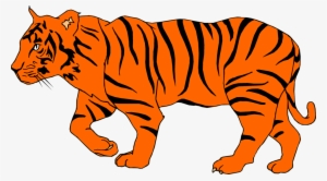 Illustration Of A Tiger #1443620