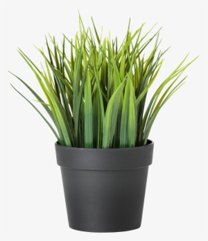 Potted Plants Clipart Transparent Background - Ikea Plant #1444325