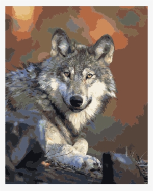 6 Year Old Wolf Clipart Irish Wolfhound Pack Wolf Reintroduction - Eastern Gray Wolf #1445635