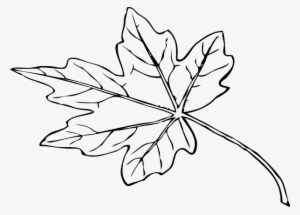 Fall Leaf Outline Png - Papaya Leaf Black And White #1445811