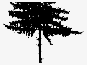 Pine Tree Clipart Transparent Background - Tree Silhouette Png #1445895 Pine Tree Clipart Transparent Background - Tree Silhouette Png #1445895