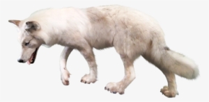 106 Arctic Wolf Clipart - Wolf With Clear Background #1445969