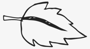 Birch Leaf Outline Rubber Stamp - Leaf #1445994