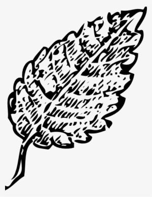 Outline Leaf Svg Clip Arts 456 X 594 Px #1445998 Outline Leaf Svg Clip Arts 456 X 594 Px #1445998