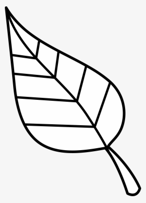 Use These Free Images For Your Websites Art Projects - Clip Art #1446168