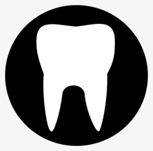 Clipart Tooth Outline #1446941