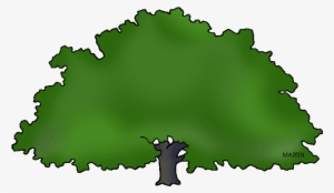 Georgia Clipart Clip Art - Georgia State Tree Easy To Draw #1447178