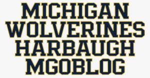 A Couple Things To Note - Michigan Valiant Font #1447995