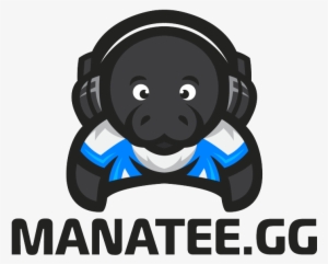 Cs - Go Coach - Avatar Steam #1448625