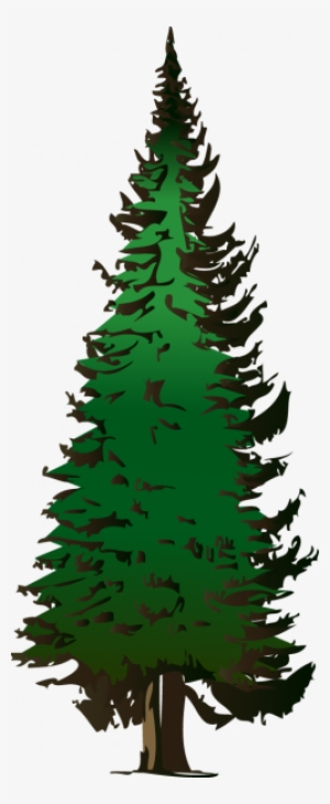 Pine Tree Png Clip Art - Fir Tree Clip Art #1450357