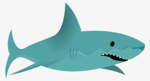 Shark - Squaliformes #1450941