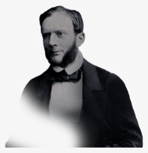 William - Gentleman #1451891