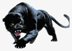 Black Panther Png Transparent Images - Devon Meadows Football Club #1452185
