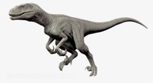 Velociraptor Png Transparent - Raptor Dinosaurs #1452239