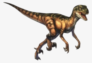 Piccolo, Veloce, A Sangue Caldo E Piumato, Il Velociraptor #1452313
