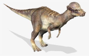 Pachycephalosaurus - Pachycephalosaurus 3d #1452423
