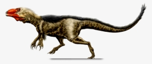 Similar Dinosaur, Appalachiosaurus, Reptile, Eotyrannus, - Dryptosaurus Dinosaur #1452602