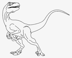 28 Collection Of Raptor Drawing Base - Raptor Drawing #1452670