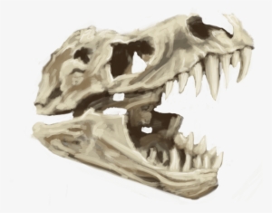 Pledge $100 Or More Per Month - Skull #1452922