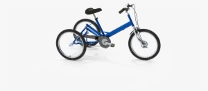 The Roadhog Is Tomcats Multi-speed Trike For More Able - Caudwell Children #1453051