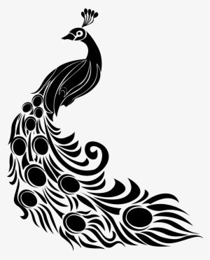 Trinetra - Peacock Drawing With Colour #1453745