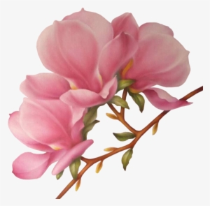 Branches Drawing Magnolia Flower - Drawing #1453765