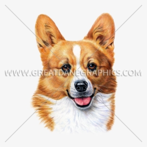 Welsh Corgi - Pembroke Welsh Corgi #1456350