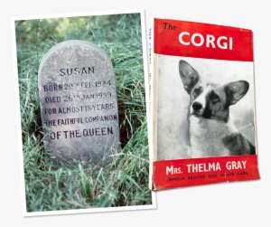 The Inside History Of Queen Elizabeth's Eight-decade - Pembroke Welsh Corgi #1456631