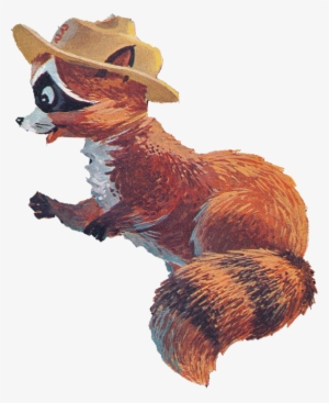 Who Would Have Thought Ranger Rick Would Literally - Punxsutawney Phil #1456727