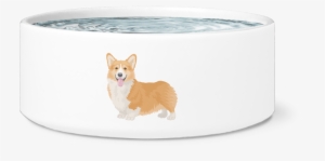 I'm The Top Dog Novelty Dog Bowl, For Puppies And Adults #1456729