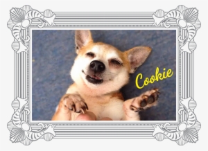 "in The Short Time We Have Known You, We Miss You Like - Square Picture Frame #1456747