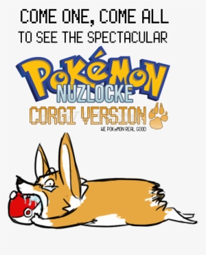 Hello My Friends Welcome To Corgilocke - Pokemon Tcg Legends Of Alola Solgaleo-gx Tin Card Game #1457087