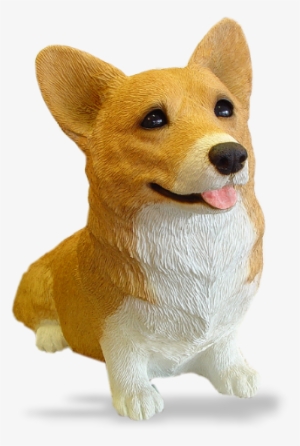 Welsh Corgi, - Dorgi #1457134