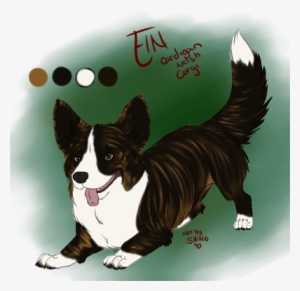 5260799 Orig - Cardigan Welsh Corgi #1457182