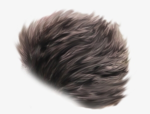 Hairr Png - Lace Wig #1457266