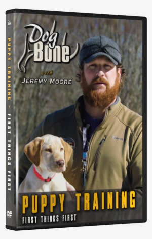 07 Puppy Dvd Front Transparent - Beagle #1457454