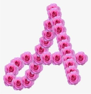 Alfabeto Decorativo Rosas Png - Garden Roses #1458063