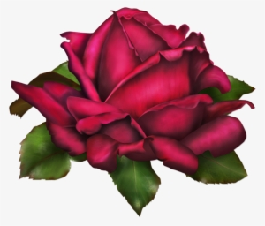 Summer Roses #1458067