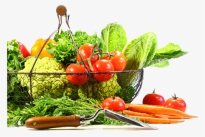 Vegetable Png Image - Vegetable #1458556
