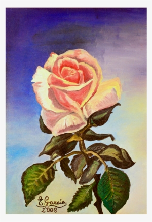 1 Rosa Rosae - Floribunda #1458557