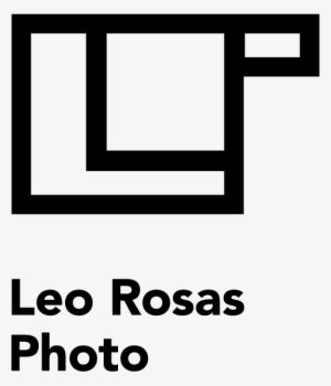 Rosas Png #1458581