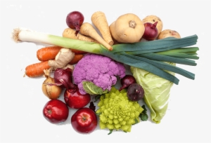 Vegetable Gardening #1458623 Vegetable Gardening #1458623