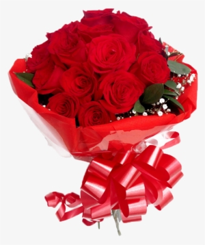 Cantidad - - Garden Roses #1458799